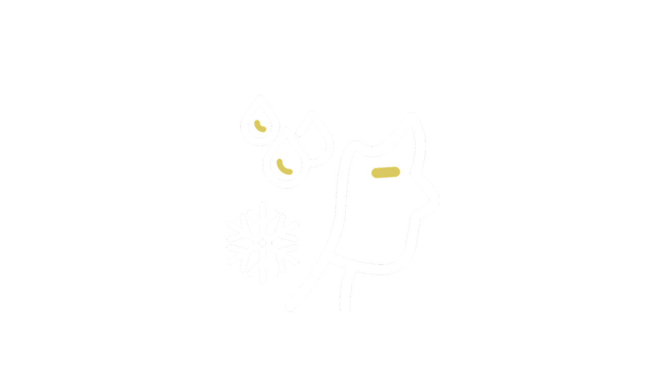 Sweating and chills icon